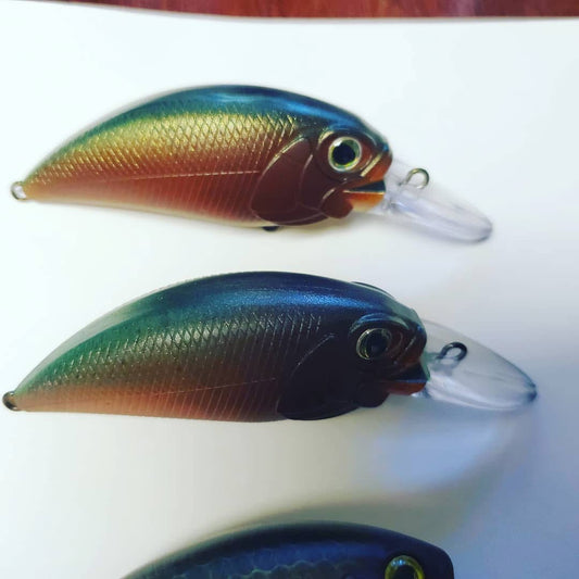 60M Minnow